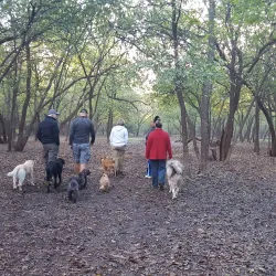 Tails and Trails Dog Park - Arlington