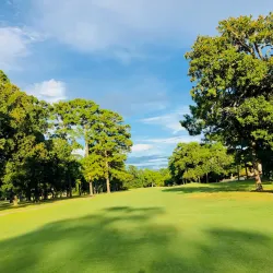 Atascocita Golf Club - Atascocita