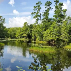 Atascocita Park - Atascocita