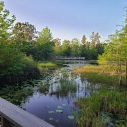 Atascocita Park - Atascocita