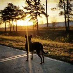 Atascocita Trail System - Atascocita