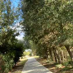 Atascocita Trail System - Atascocita