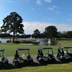 Kingwood Golf Club - Atascocita