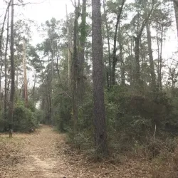 Lake Houston Wilderness Park - Atascocita
