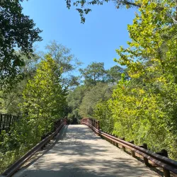 Lake Houston Wilderness Park - Atascocita