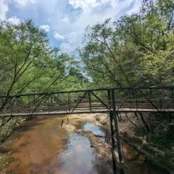 Lake Houston Wilderness Park - Atascocita