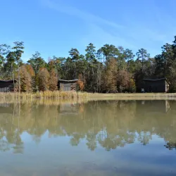 Lake Houston Wilderness Park - Atascocita