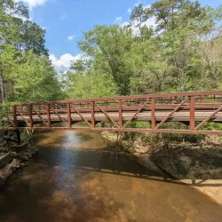Lake Houston - Atascocita