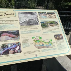 Barton Springs Pool - Austin