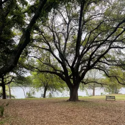 Lady Bird Lake Hike and Bike Trail - Austin