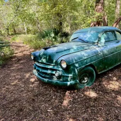 The Contemporary Austin - Laguna Gloria - Austin