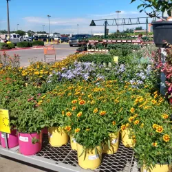 Balch Springs City Park - Balch Springs