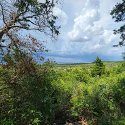 Cedar Ridge Preserve - Balch Springs