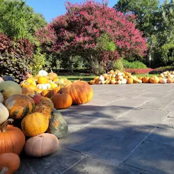 Dallas Arboretum and Botanical Garden - Balch Springs