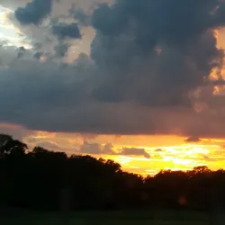 Downtown Dallas - Balch Springs