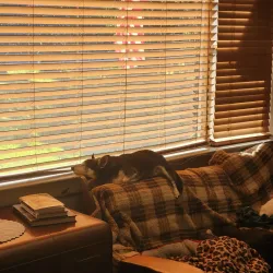 Downtown Dallas - Balch Springs