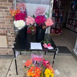 Downtown Dallas - Balch Springs