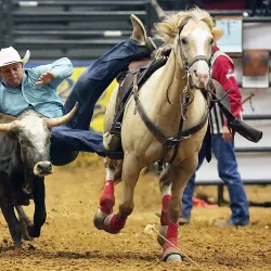Mesquite Championship Rodeo - Balch Springs
