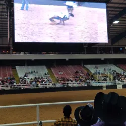 Mesquite Championship Rodeo - Balch Springs