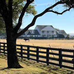 Southfork Ranch - Balch Springs