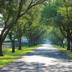 Southfork Ranch - Balch Springs