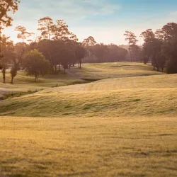 Eagle Pointe Golf Club - Baytown