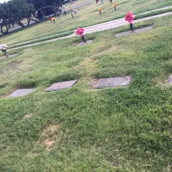 Big Spring Cemetery - Big Spring