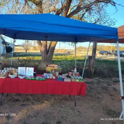 Big Spring Farmers Market - Big Spring