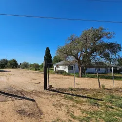 Big Spring Farmers Market - Big Spring