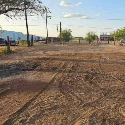 Big Spring Farmers Market - Big Spring