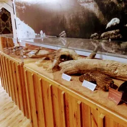 Heritage Museum of Big Spring - Big Spring