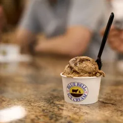 Blue Bell Creamery Gift Shop - Brenham