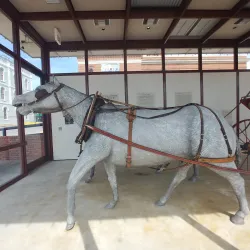 Brenham Heritage Museum - Brenham