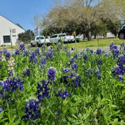 Washington-on-the-Brazos State Historic Site - Brenham