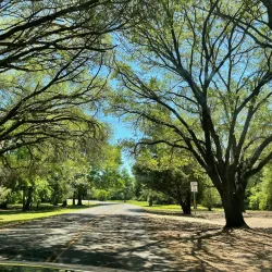 Washington-on-the-Brazos State Historic Site - Brenham