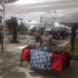 Brownsville Farmers Market - Brownsville