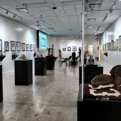 Brownsville Museum of Fine Art - Brownsville