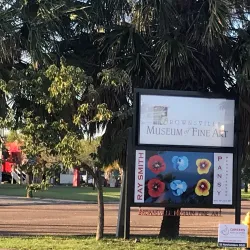 Brownsville Museum of Fine Art - Brownsville
