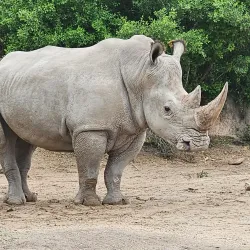 Gladys Porter Zoo - Brownsville