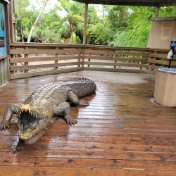 Gladys Porter Zoo - Brownsville