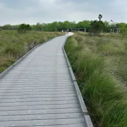 Palo Alto Battlefield National Historical Park - Brownsville