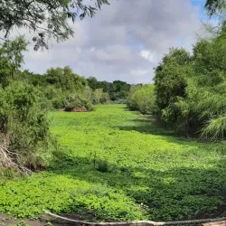 Resaca de la Palma State Park - Brownsville