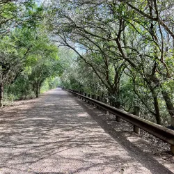 Resaca de la Palma State Park - Brownsville