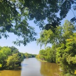 Resaca de la Palma State Park - Brownsville
