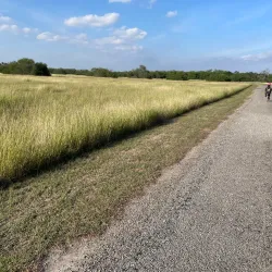 Resaca de la Palma State Park - Brownsville