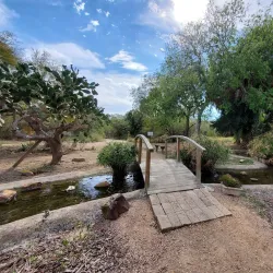 Sabal Palm Sanctuary - Brownsville