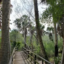 Sabal Palm Sanctuary - Brownsville