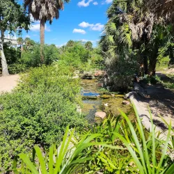 Sabal Palm Sanctuary - Brownsville