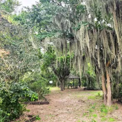Sabal Palm Sanctuary - Brownsville