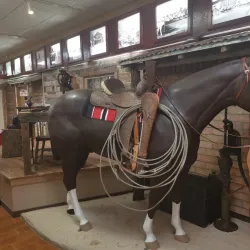 Stillman House Museum - Brownsville